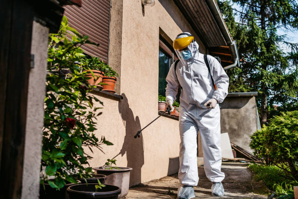 Wasp Removal Services in George Mason, VA