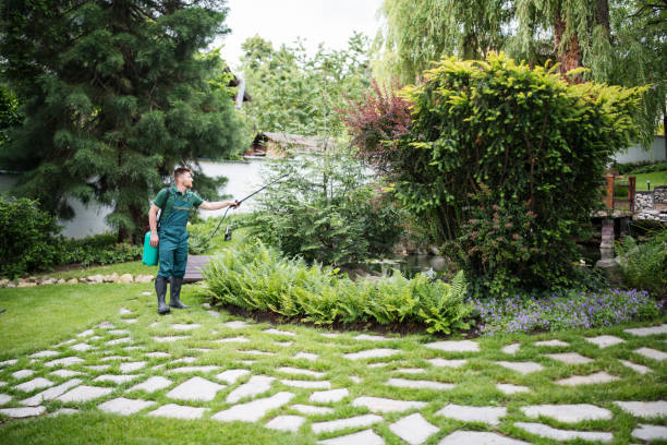 Best Affordable Pest Control Services  in George Mason, VA