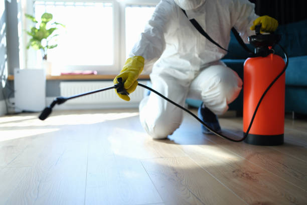 Reliable George Mason, VA Pest Control Solutions
