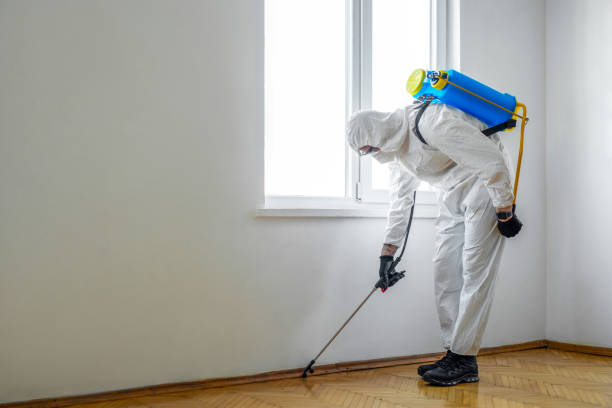 Best Best Pest Control Companies  in George Mason, VA