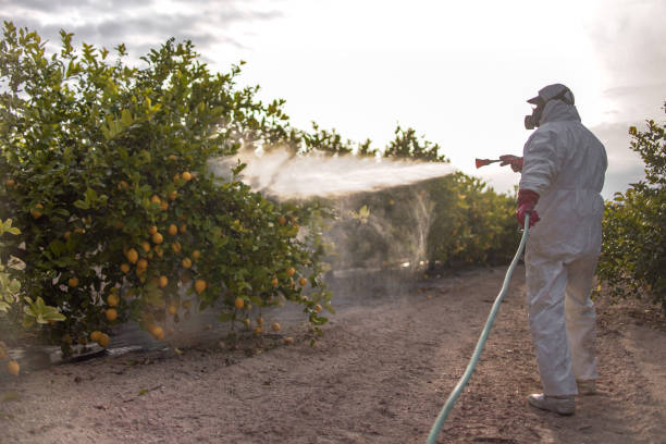 Best Pest Control Near Me  in George Mason, VA