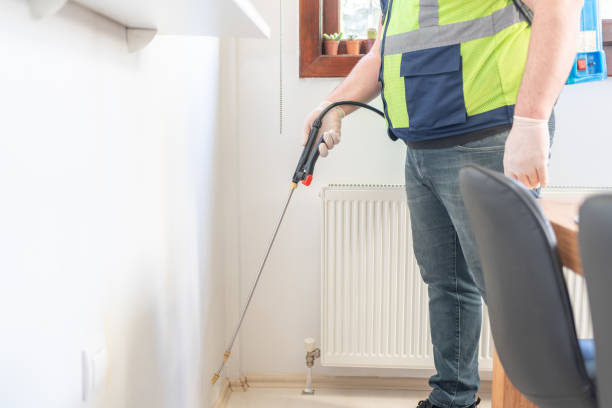 Best Emergency Pest Control  in George Mason, VA
