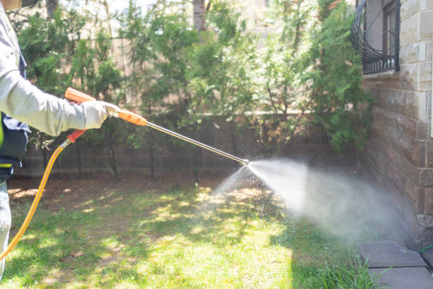 Best Local Pest Control Services  in George Mason, VA