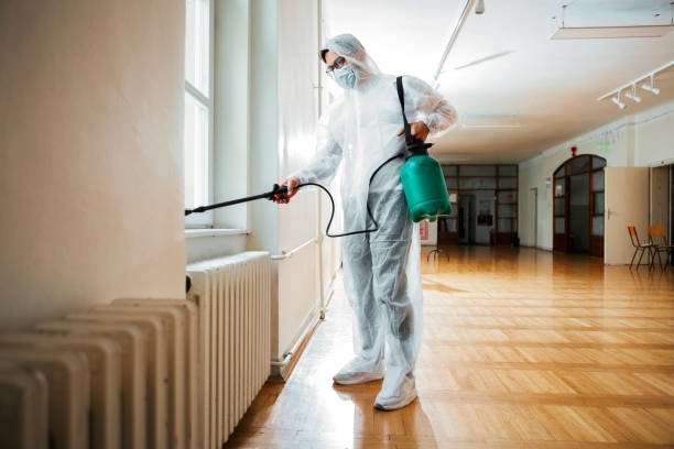 Best Affordable Pest Control Services  in George Mason, VA